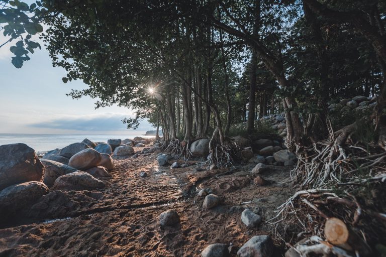 Что посмотреть вокруг Питера