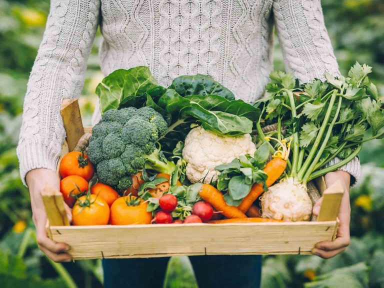 В Санкт-Петербурге стартовал фестиваль Farm-to-table