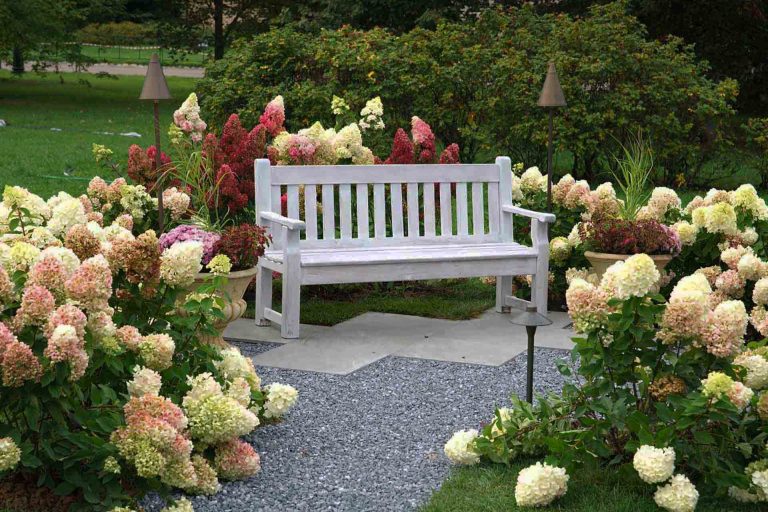 В Царицыне стартовал Фестиваль исторических садов