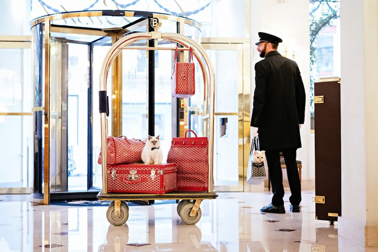 В Le Bristol Paris – новый кот-талисман