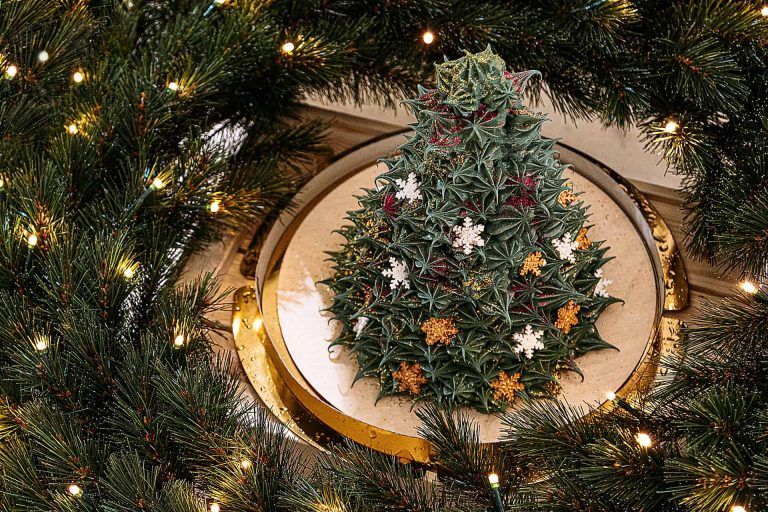 Новый год к нам мчится!