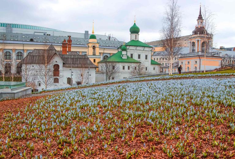 В «Зарядье» стартовали «Волны цветения»