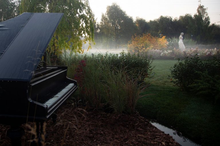 Все в исторический сад!