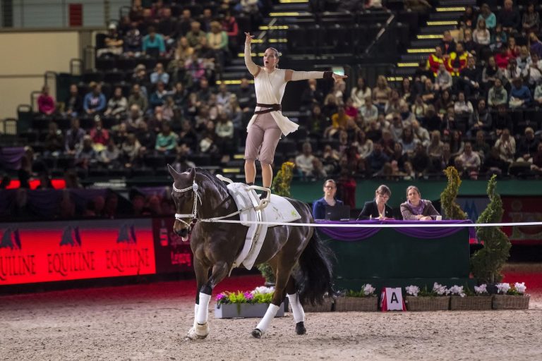 <strong>Сальто на полном скаку</strong>