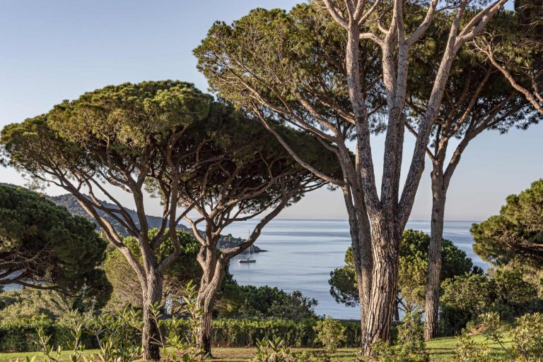 Привести себя в форму после праздников