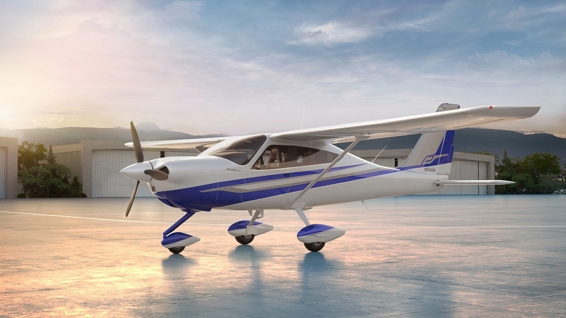 Tecnam представил семейный самолет