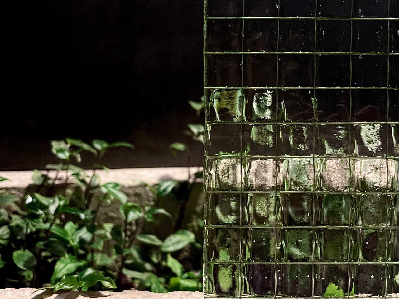 В Архангельском – выставка «света и воздуха»