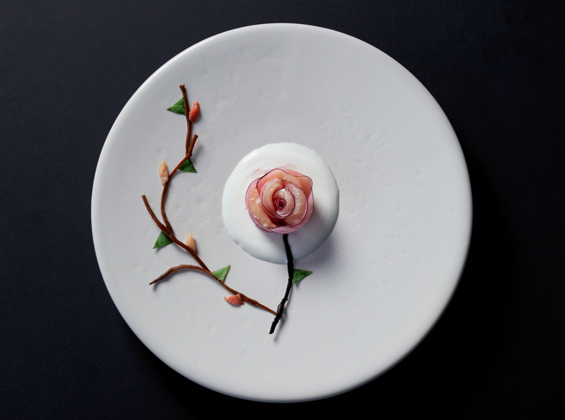 Выходим в SVET