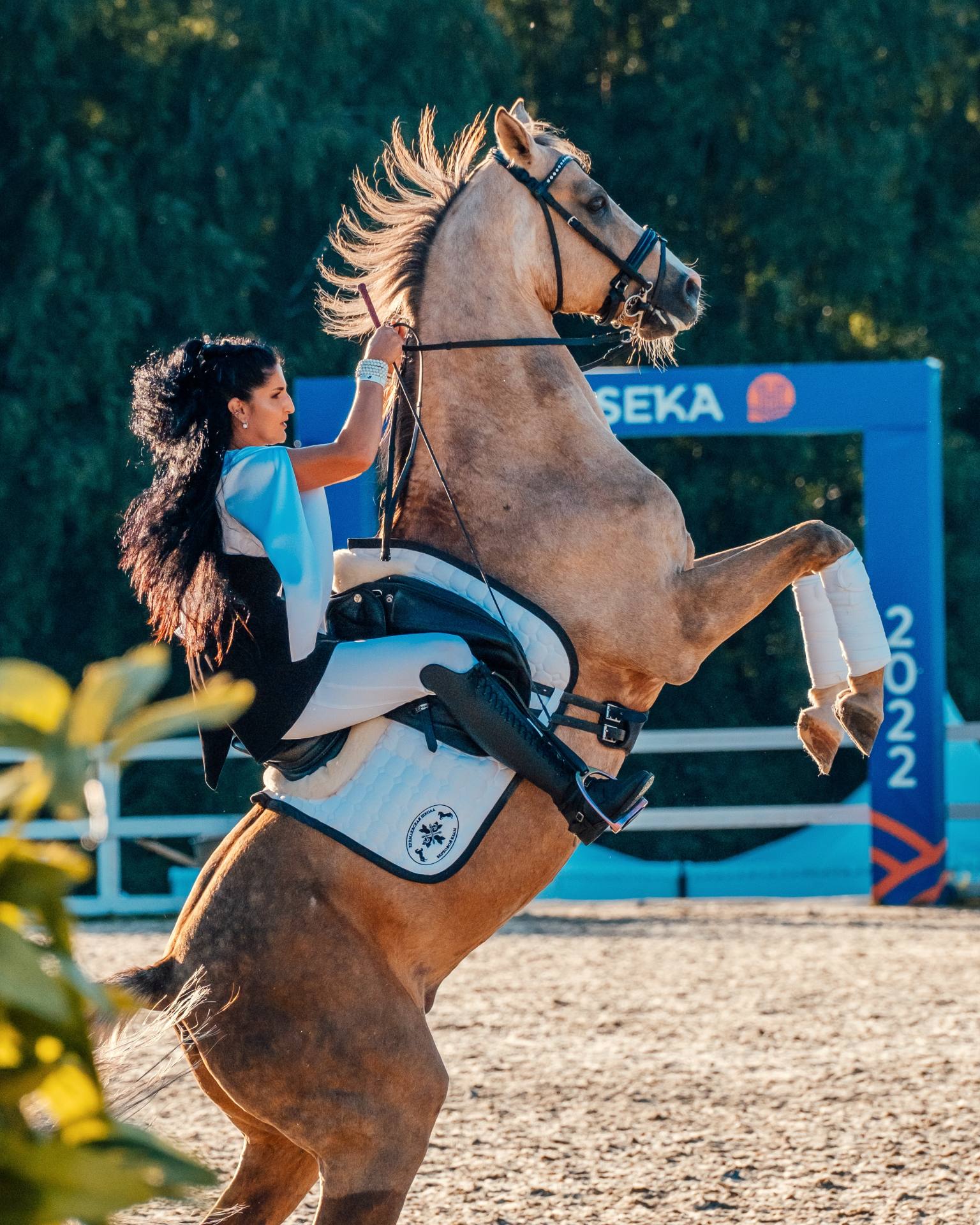 В Подмосковье пройдет конный фестиваль