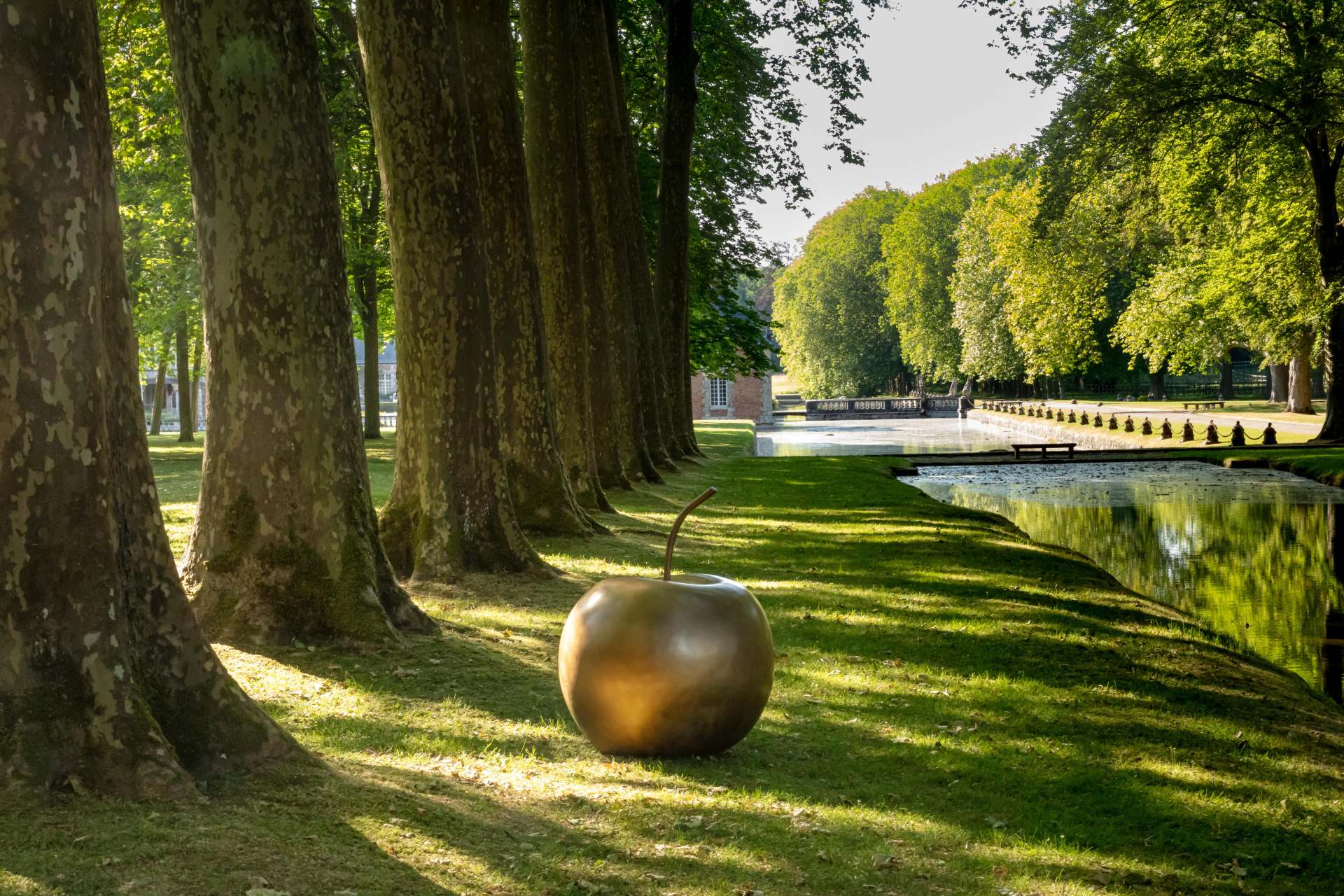 Аукционы: осенние старты