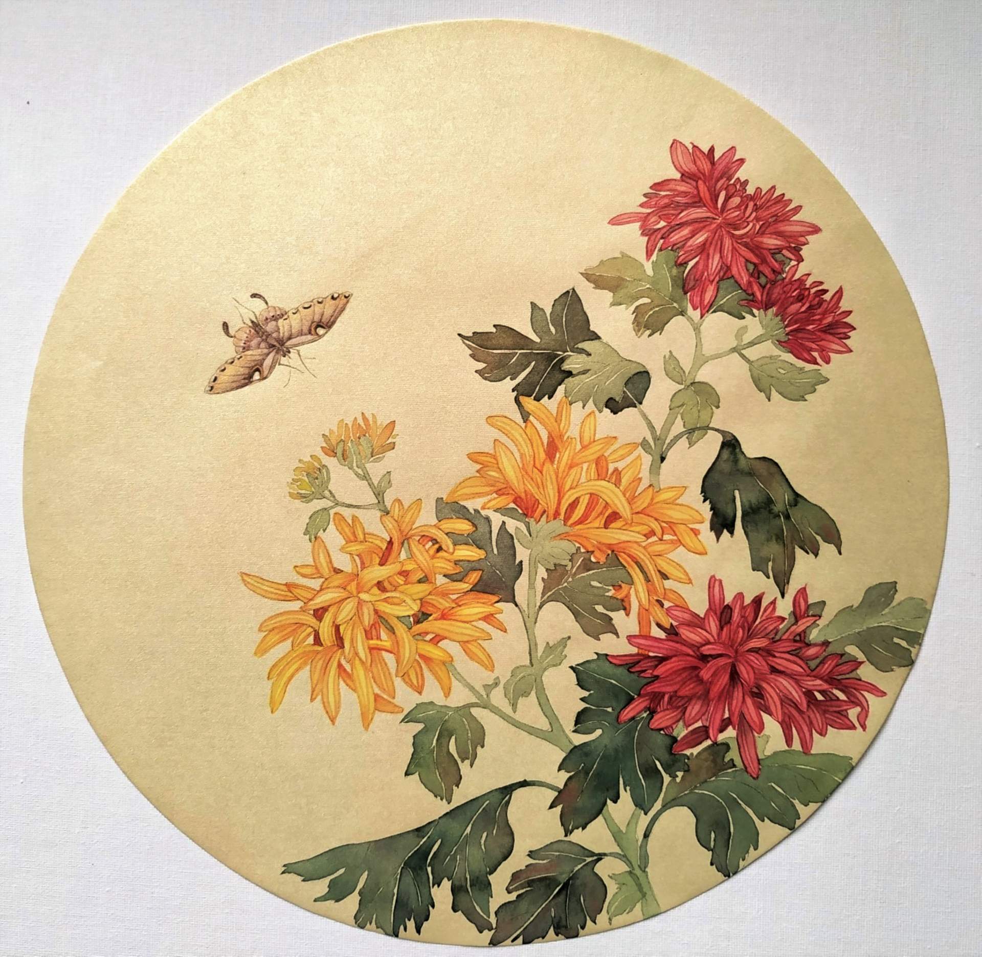 В Музее Востока «расцветут» орхидеи