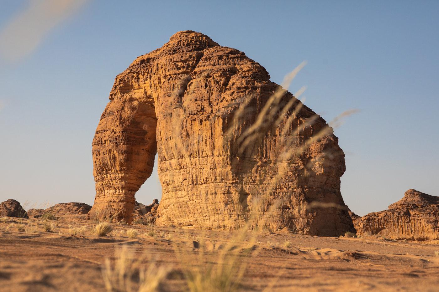 В пустыне появится оазис искусства