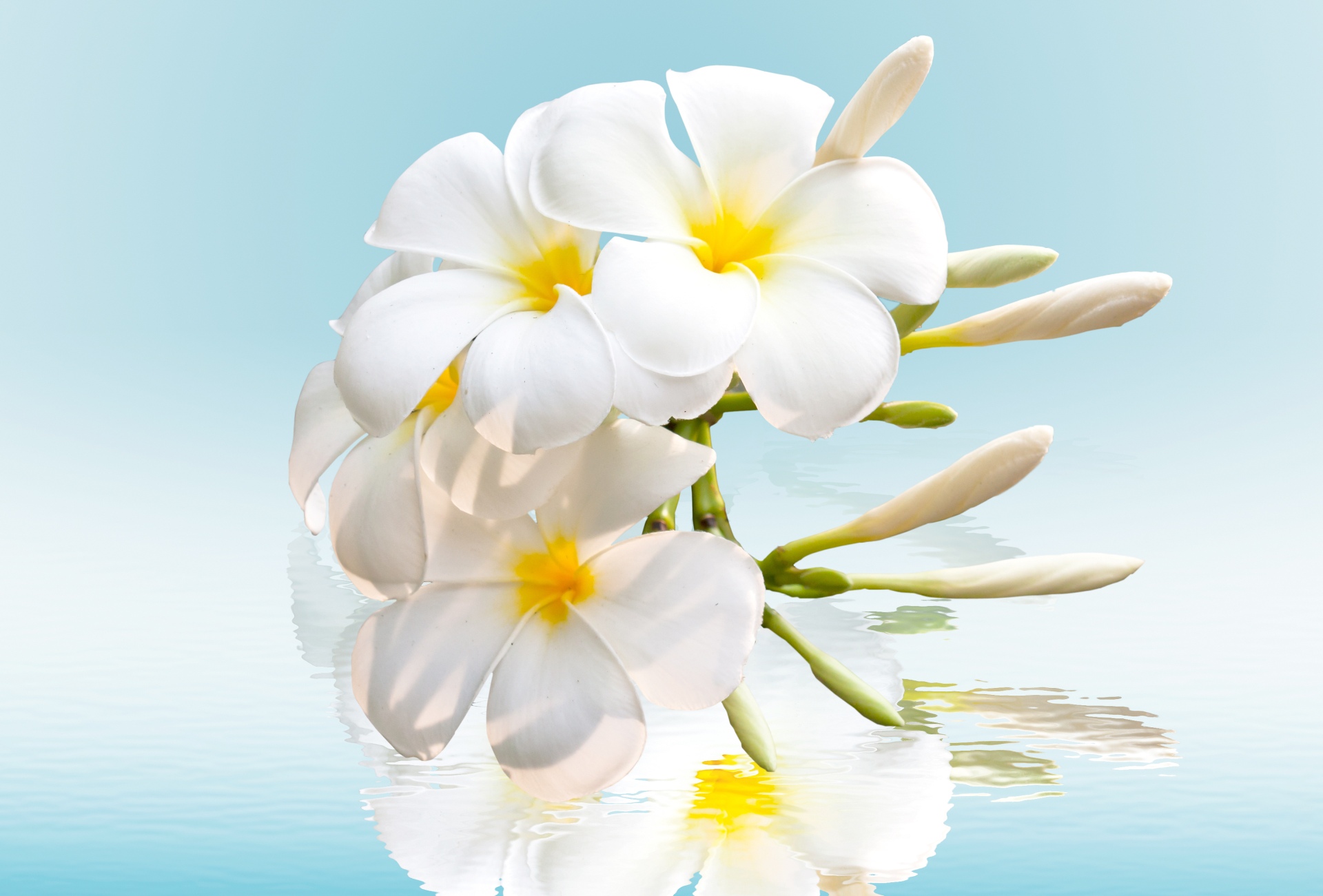 Ароматы весны: сделайте погромче!