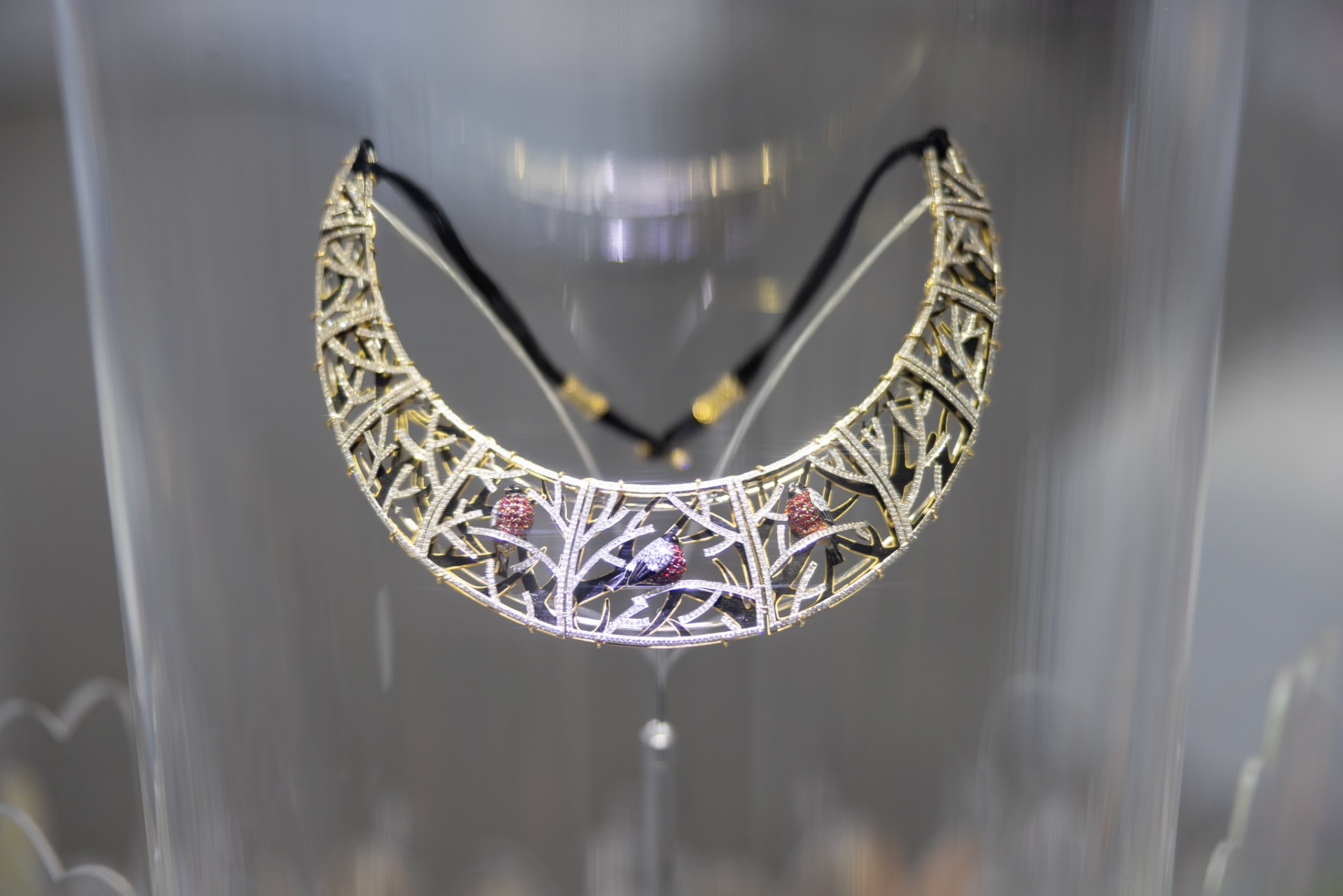 Выставка Ilgiz F. в Петергофе