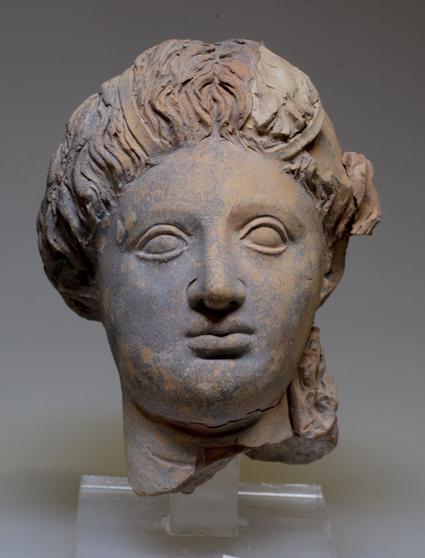 Vita Nova: собранные из мелких кусочков