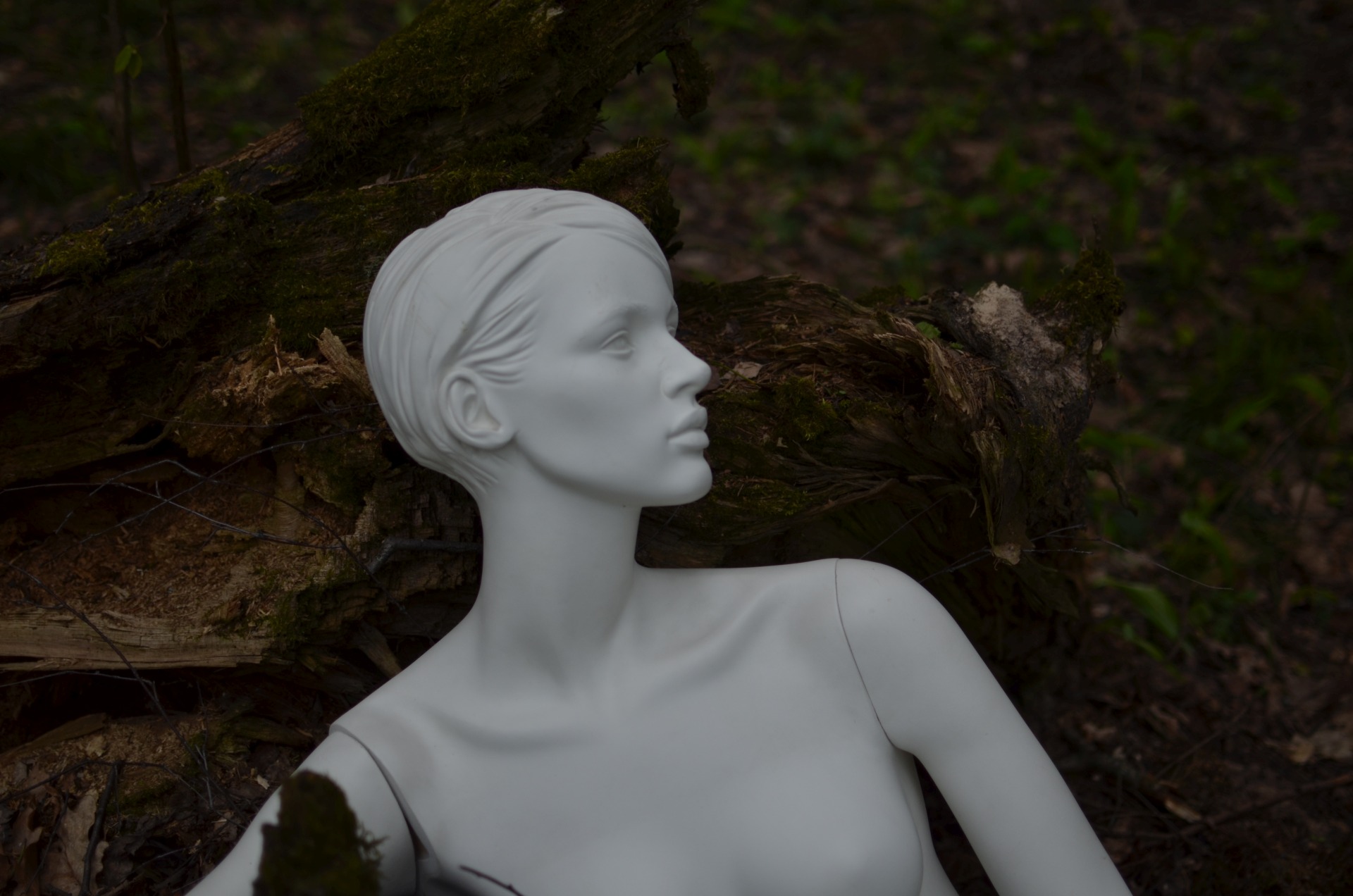 SISTEMA GALLERY открывает «Новые сущности»