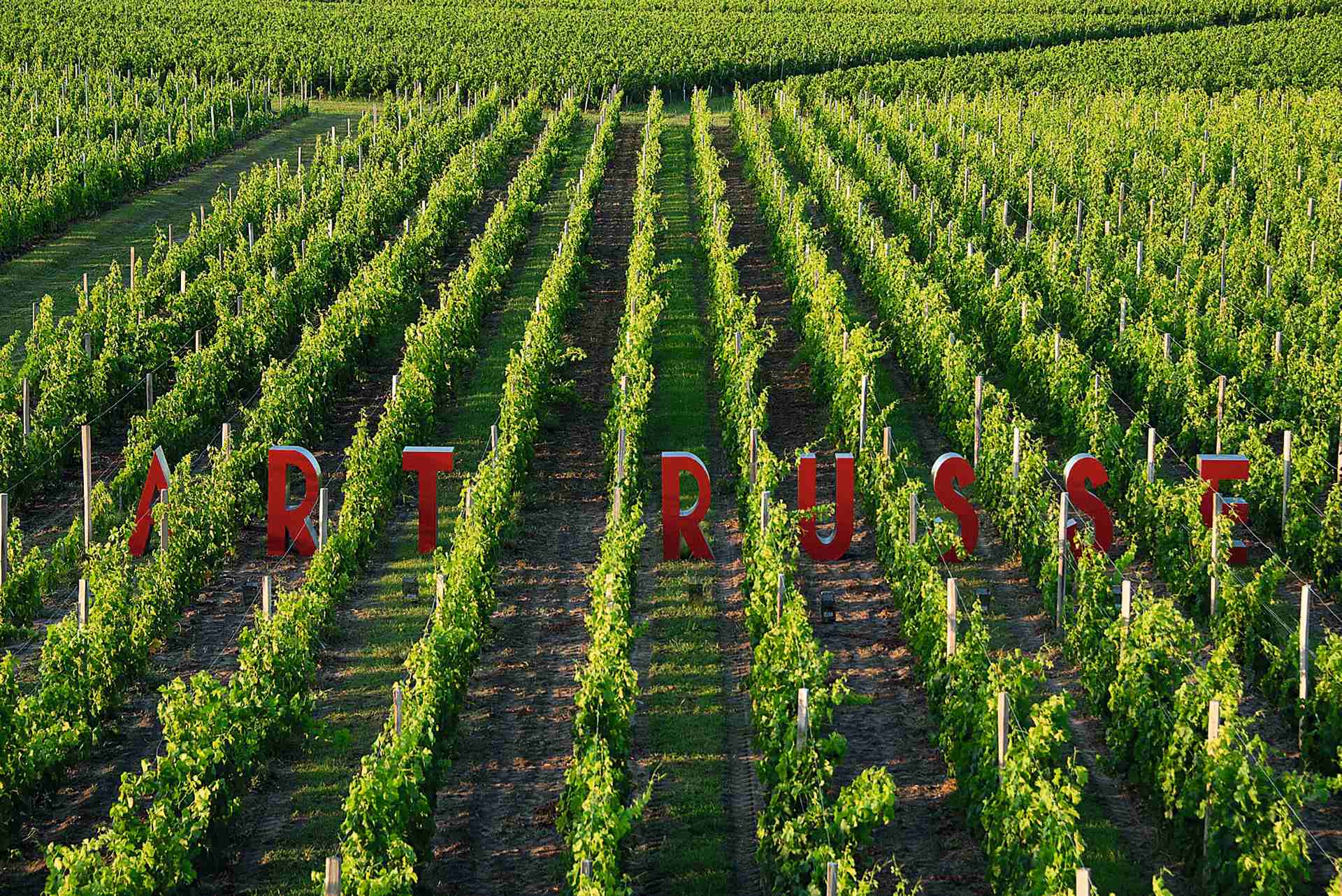 Не только вино