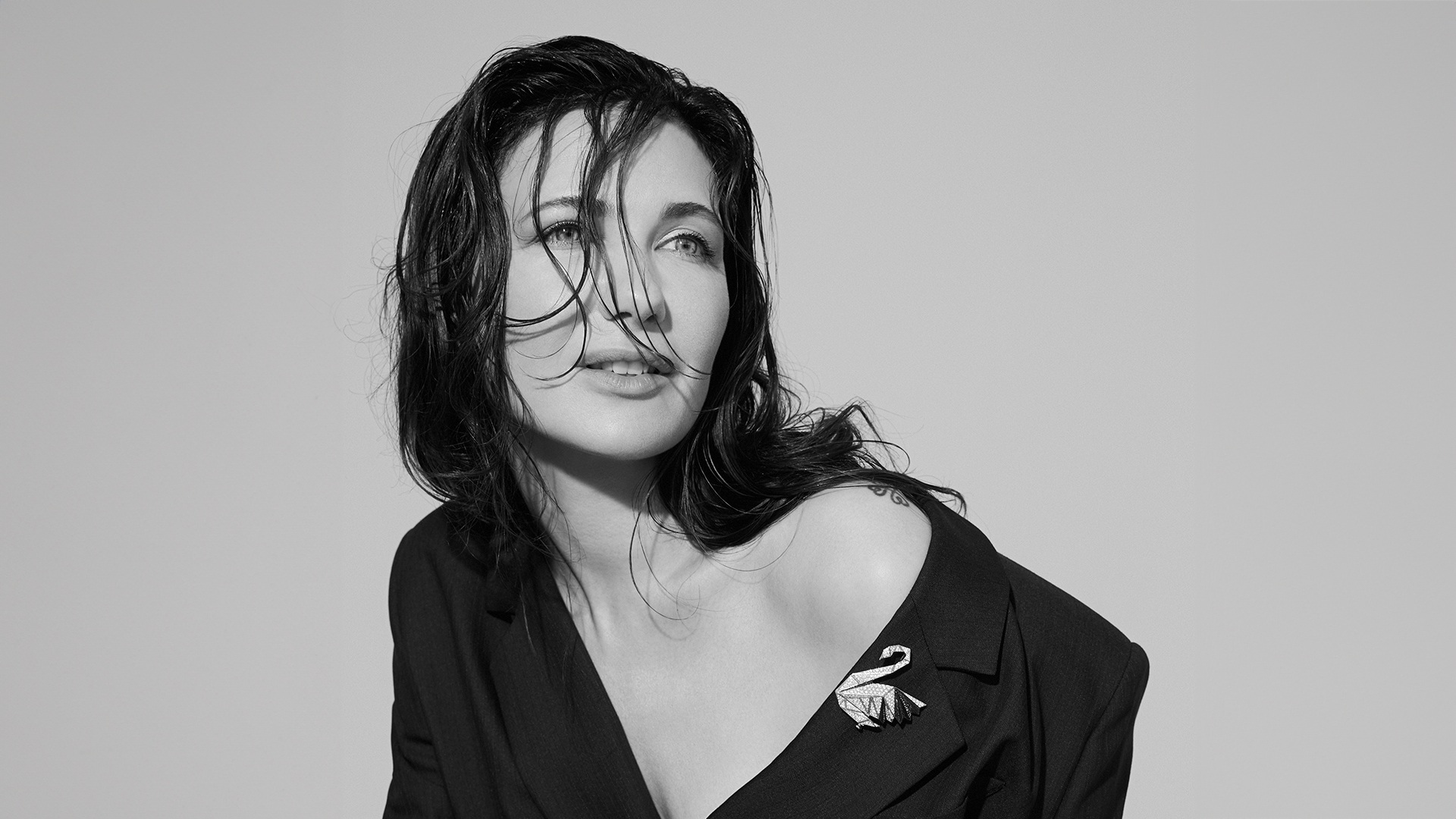 Гуси-лебеди дома Cluev