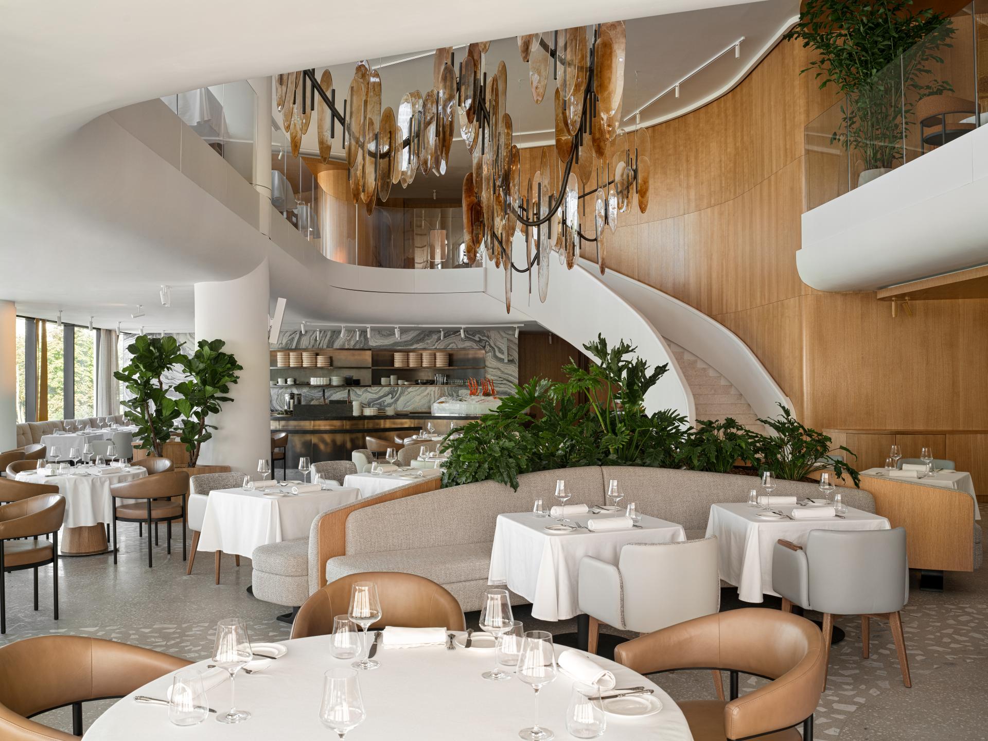 Свет новой звезды