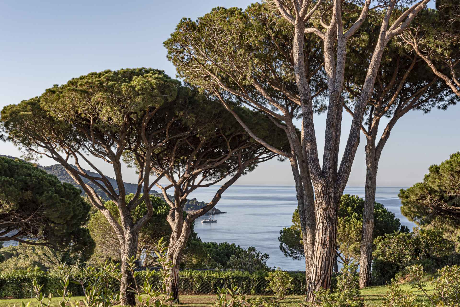 Уход за кожей в Lily of the Valley