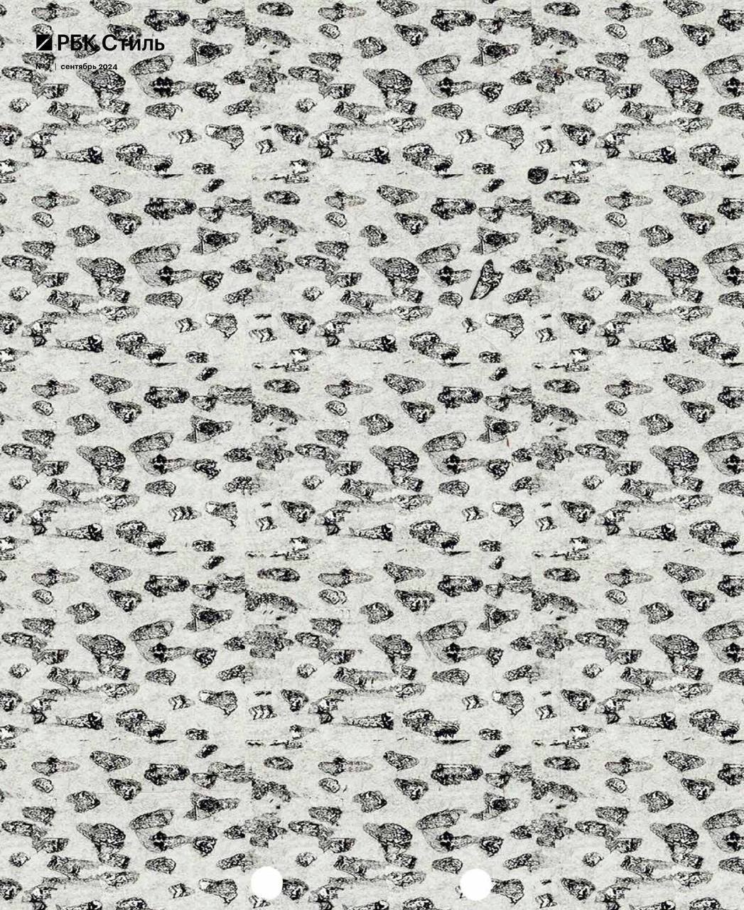 Совриск на обложке