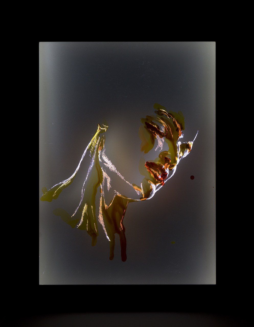 Выставка Аннушки Броше в ММОМА