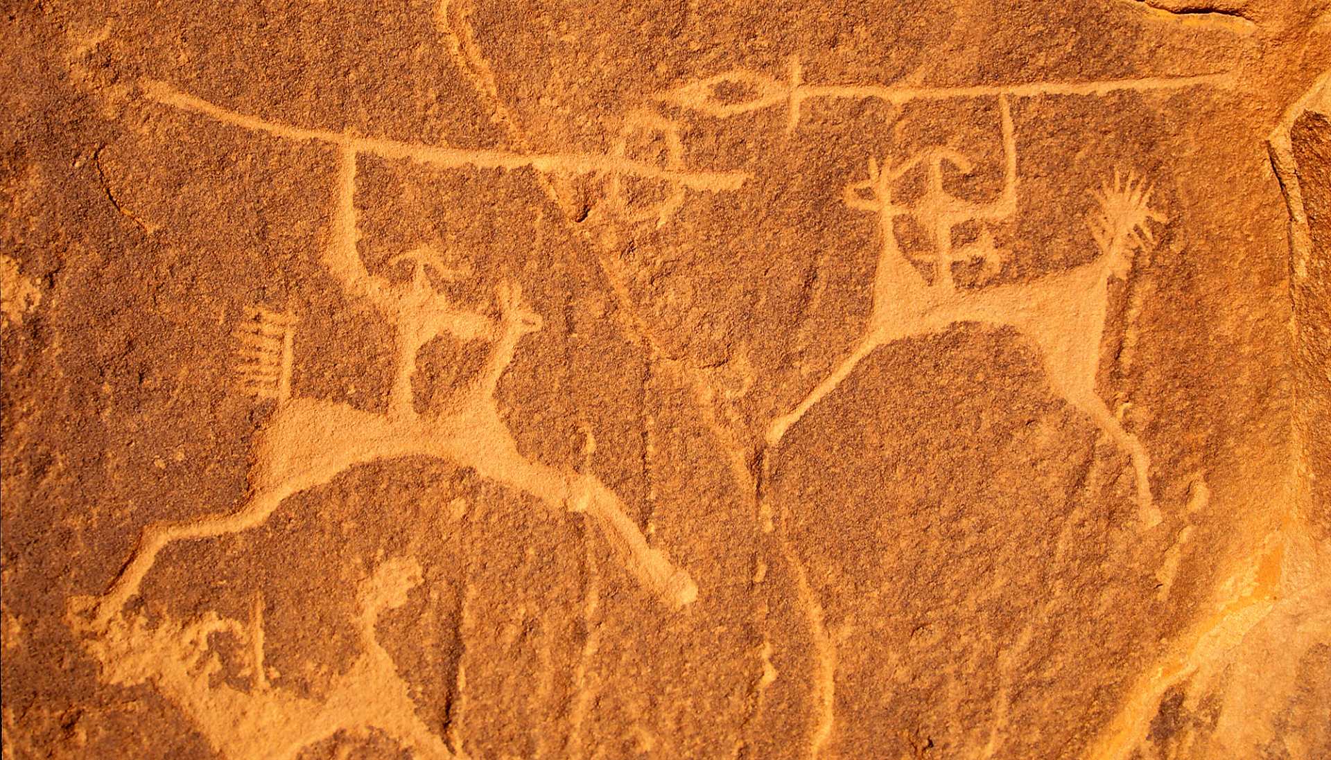 Саудовская Аравия приглашает посетить объекты ЮНЕСКО