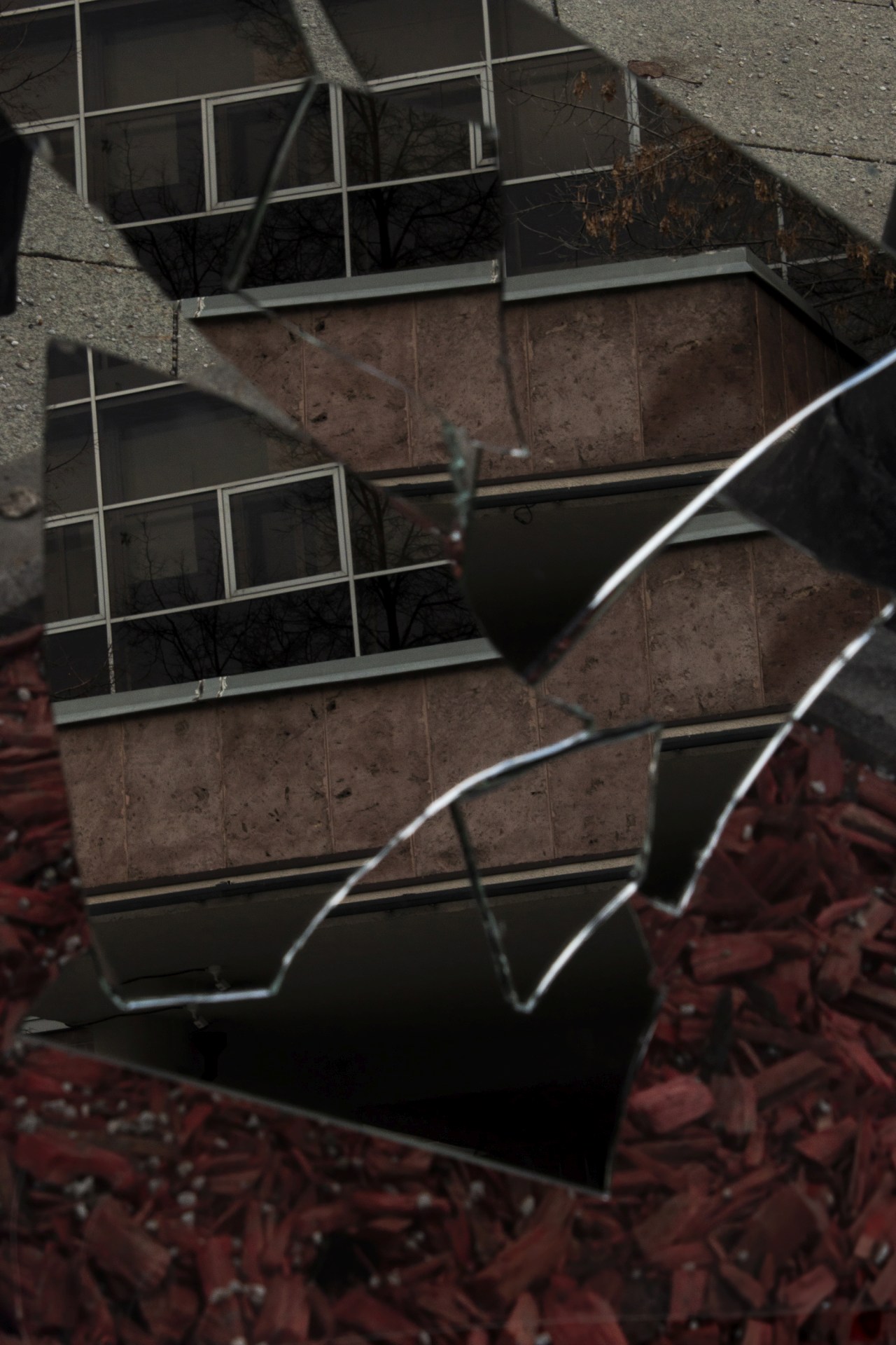 Центр «Зотов» покажет фотовыставку «Очевидное»