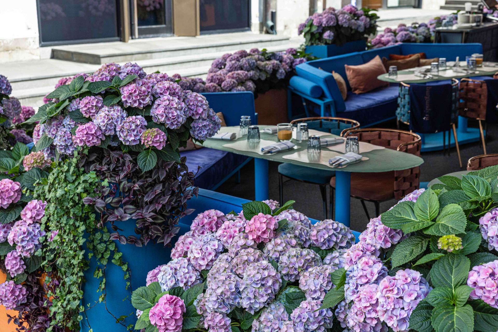 Не пропустим лето!