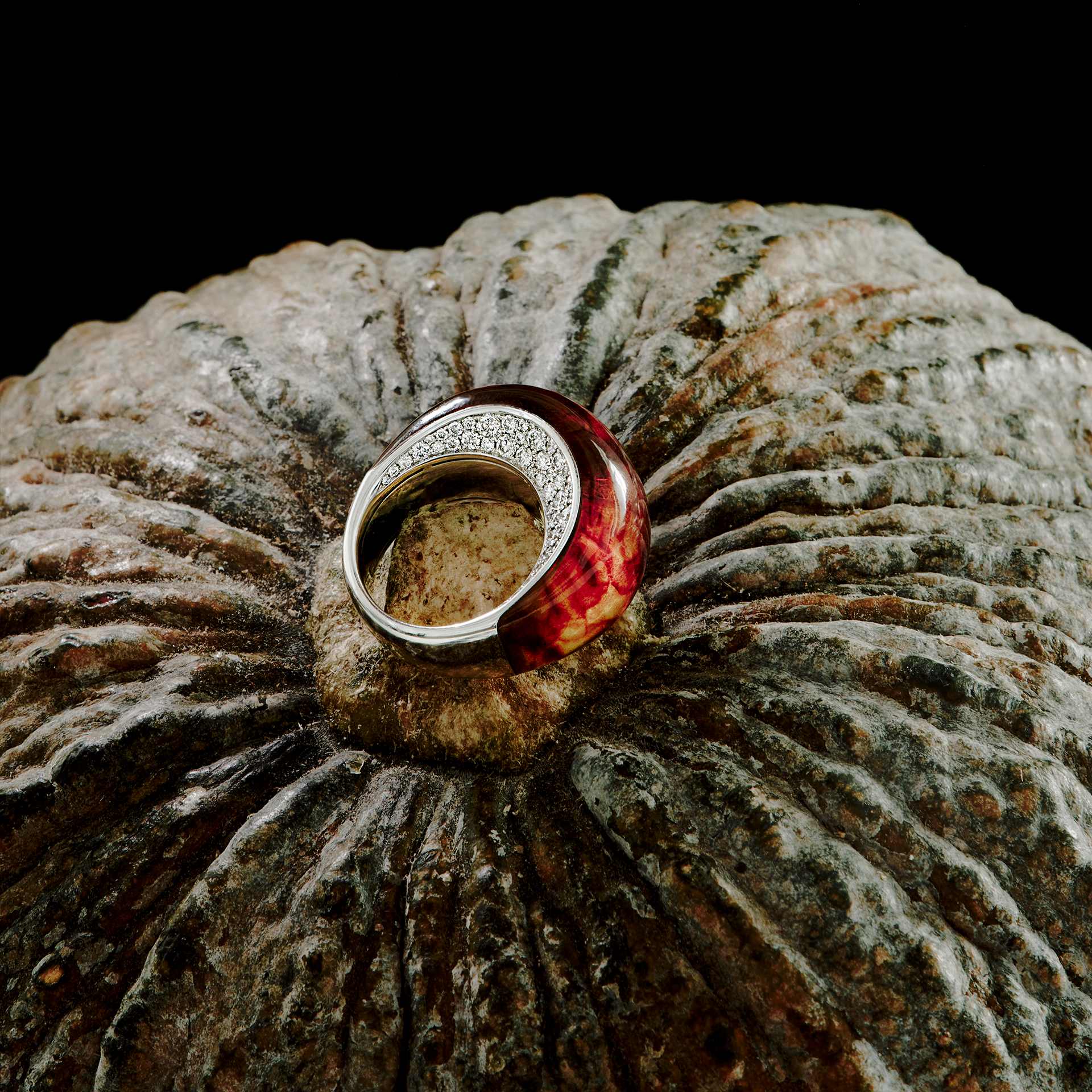 Янтарные технологии Liza Borzaya