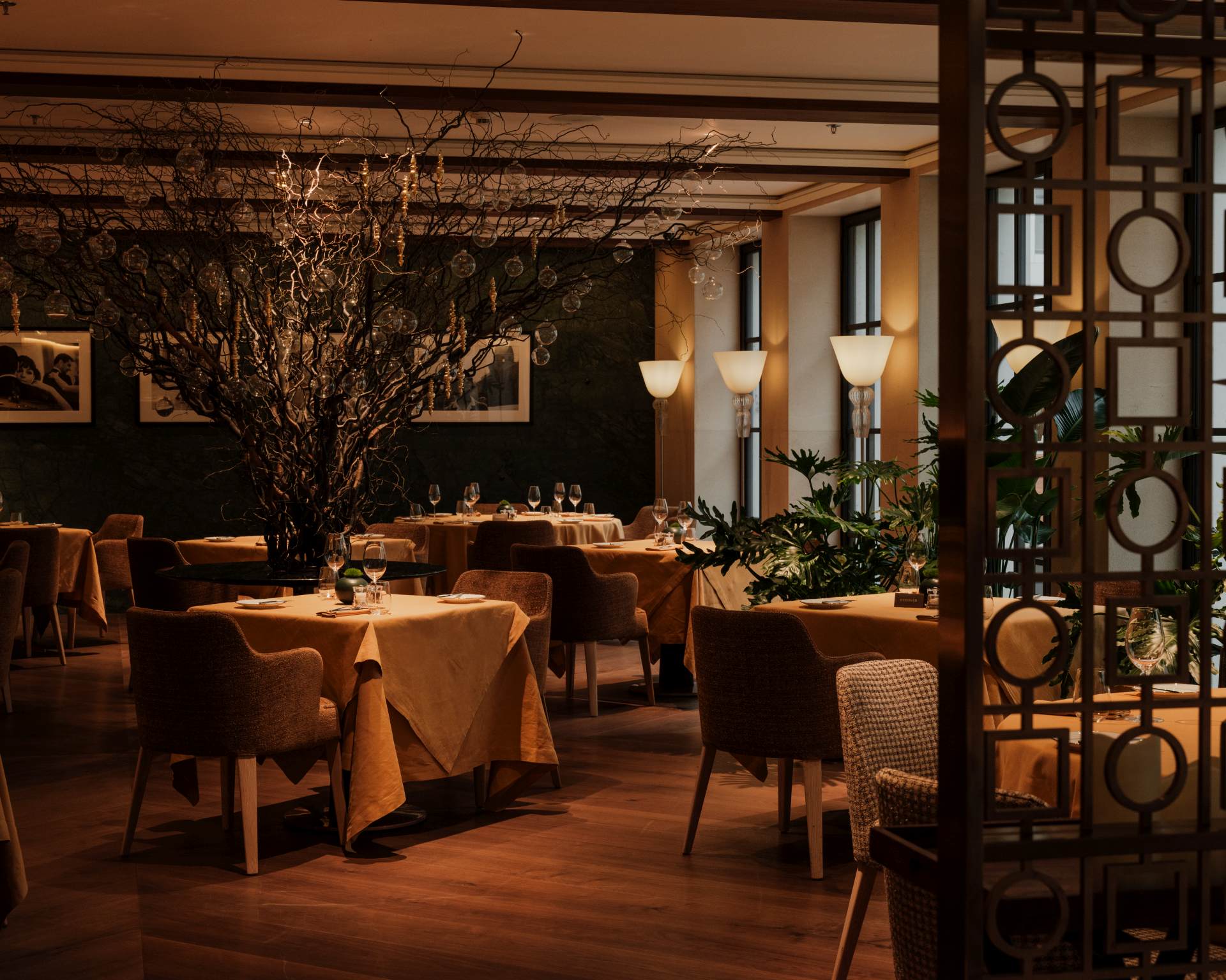 В IL Ristorante – обновленное меню