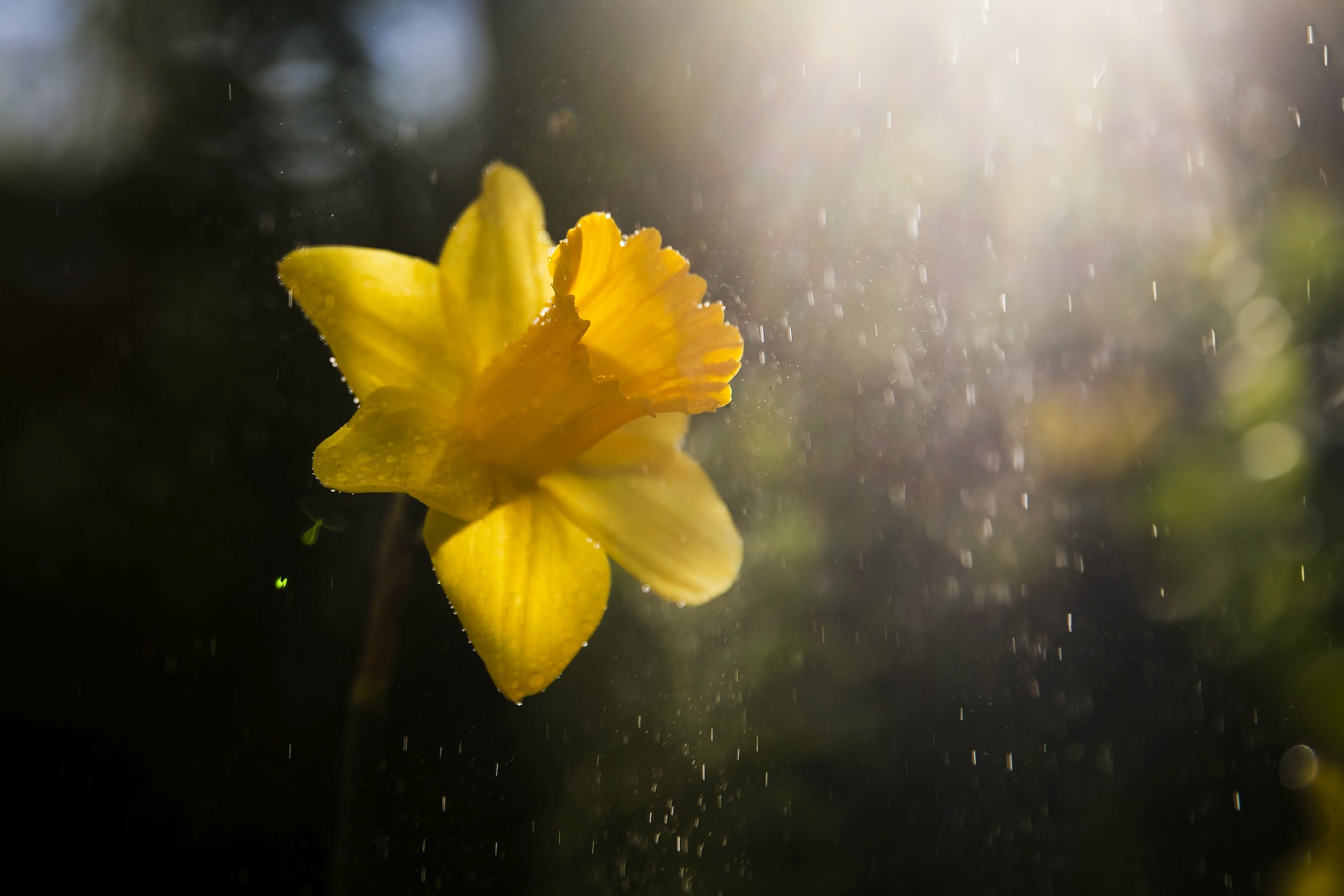 Приближая весну